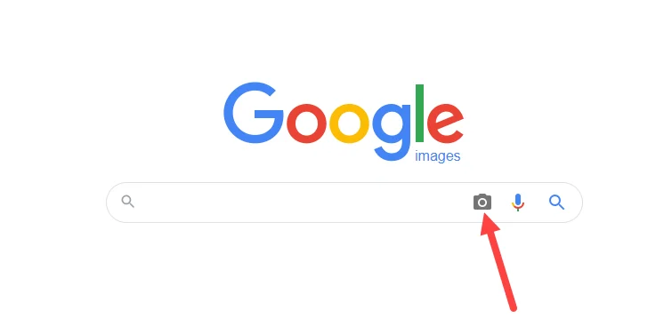 google image search